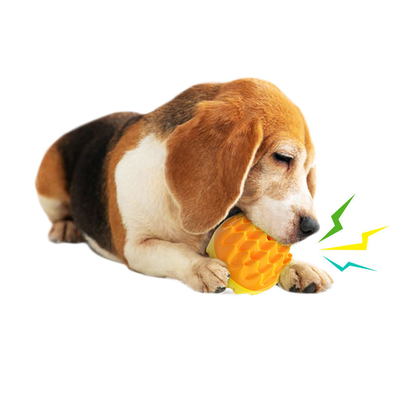 Dog Toy Training Teeth Grinding Ball Speaking Toothbrush Dog Outdoor Interaction