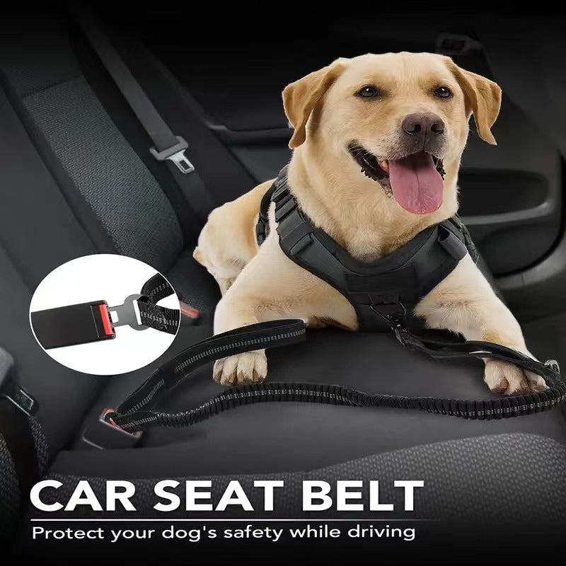 Dog Frog Buckle Tactical Traction Rope