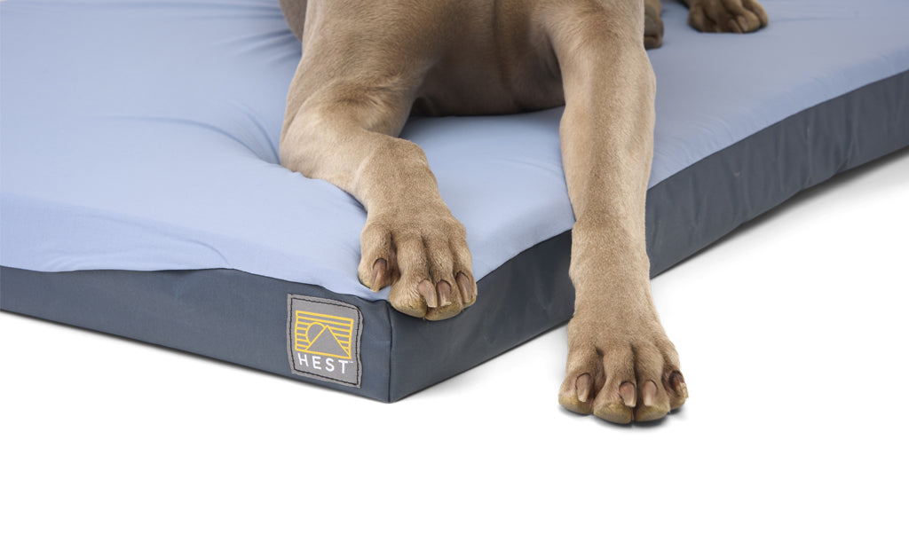 Comfy Dog Bed