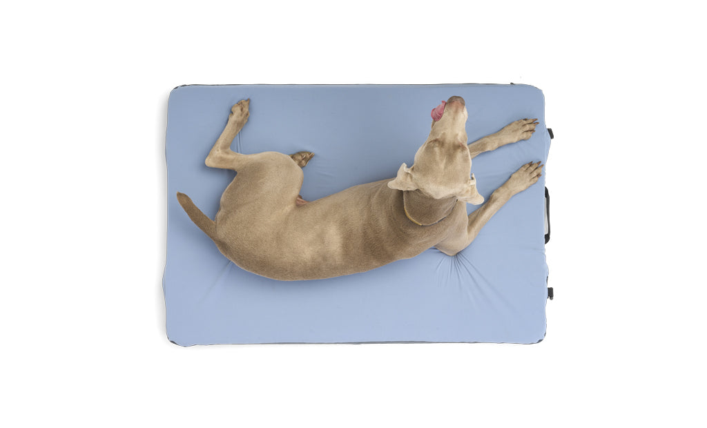 Comfy Dog Bed