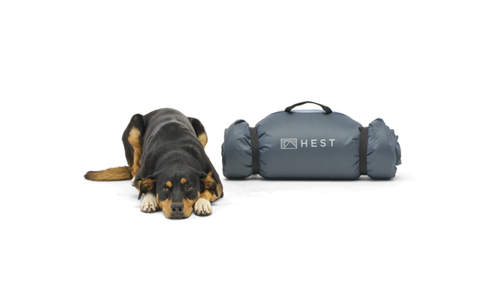 Comfy Dog Bed