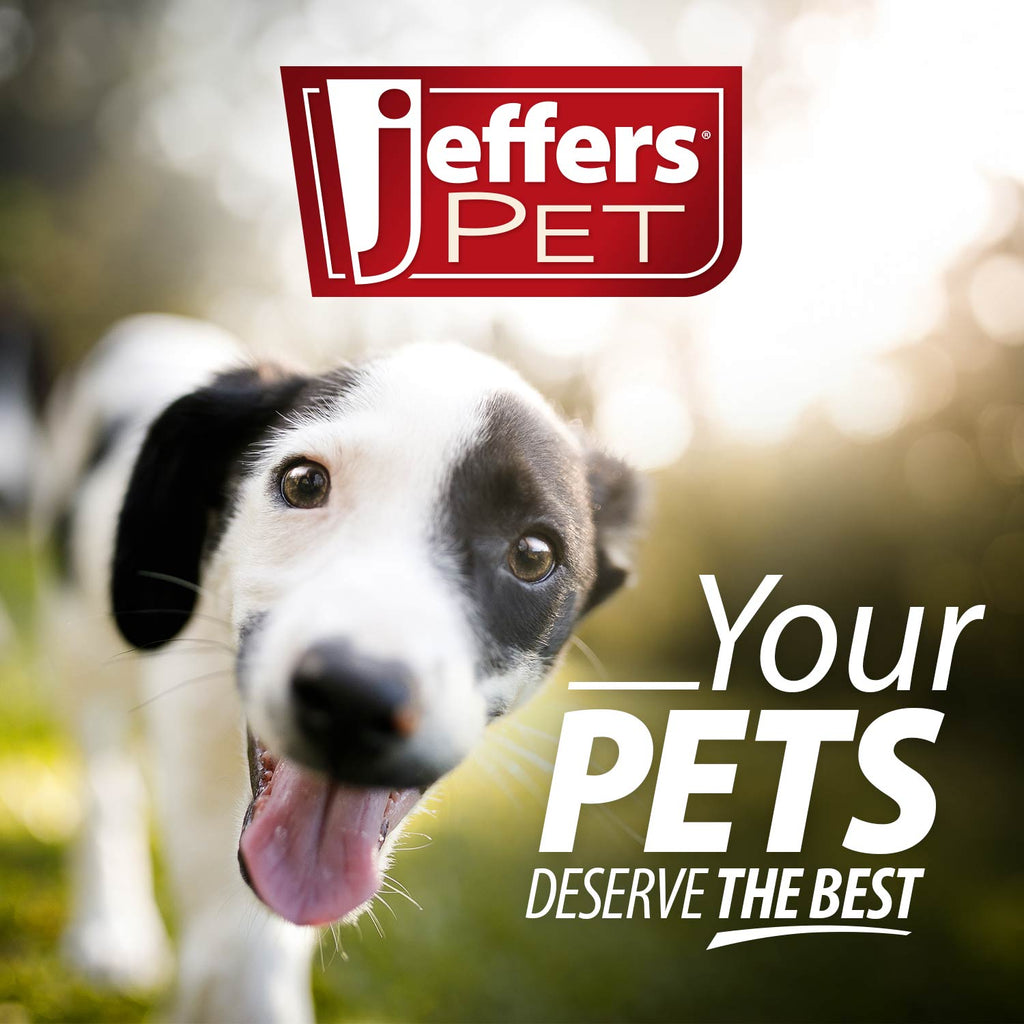 Jeffers Apple Oatmeal Shampoo – All-Natural, Hypoallergenic for Dogs & Cats