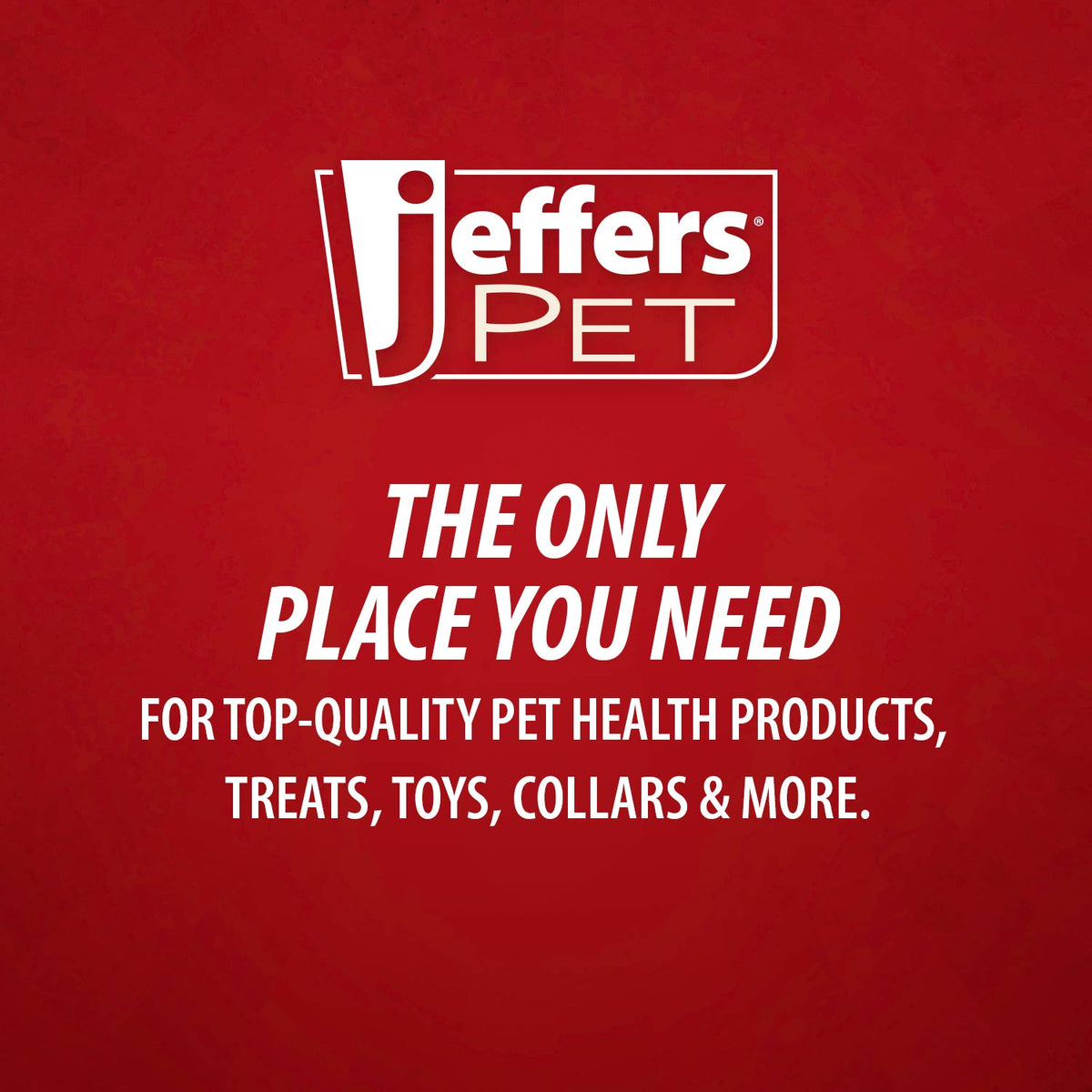 Jeffers Apple Oatmeal Shampoo – All-Natural, Hypoallergenic for Dogs & Cats